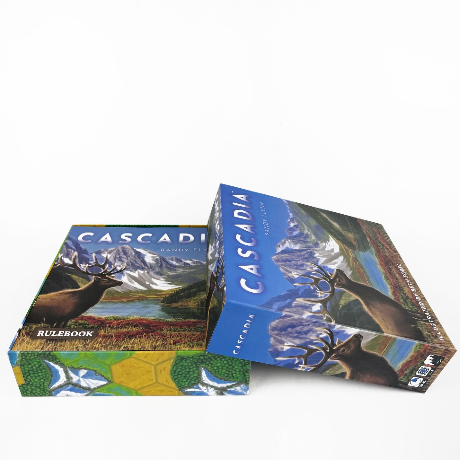 Permainan Papan Cascadia |   P - Board Game Harmonies ulasan dan harga